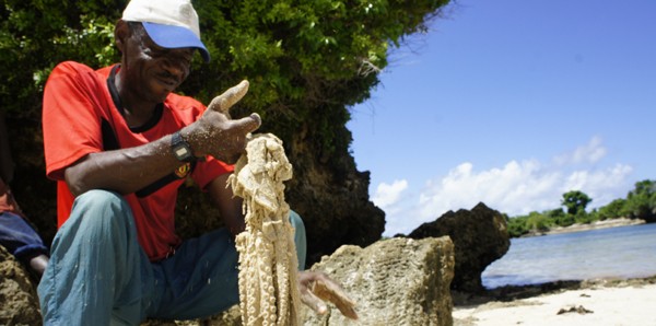 Pemba tours and excursions