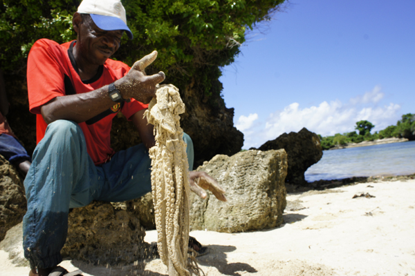 Pemba tours and excursions