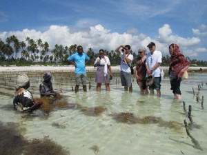 Matemwe Village Tour