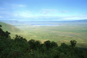 Ngorongoro crater safari